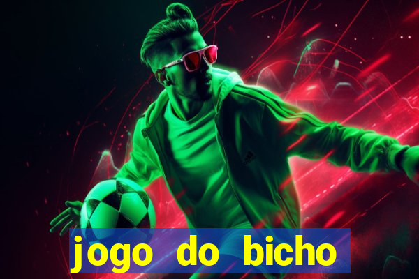 jogo do bicho crash bingo